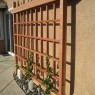 Wall Grape trellis