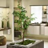 Amazing-bathroom-interior-with-plants