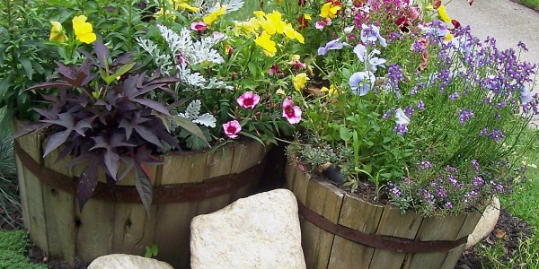 Buckets Container Garden Design Ideas