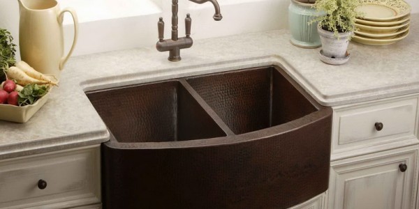 Double Brown Basin Farmhouse Kitchen Sinks Design Ideas