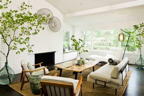 : Interior Ideas Simple Interior Plants
