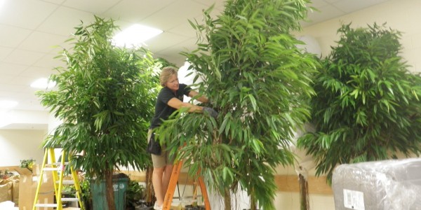 Interior Design Greenery