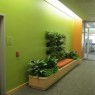 Interior design greenery decor
