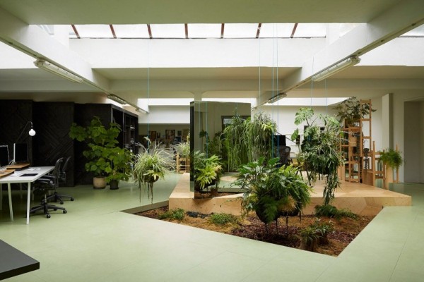 : Studio Office Indoor Gardening Ideas And Naturally