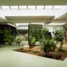 Studio-office-indoor-gardening-ideas-and-naturally