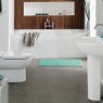 Teal-Bathroom-cleaning-Tips