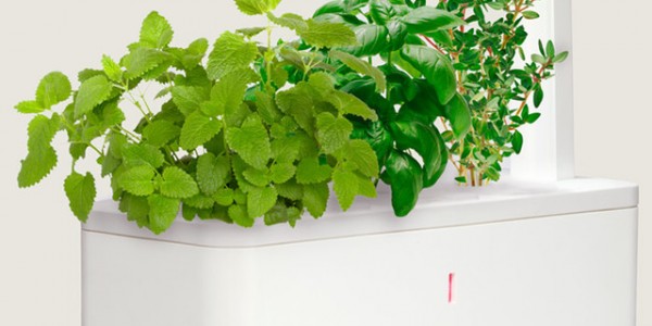 Contemporary Indoor Pots And Planters Ideas