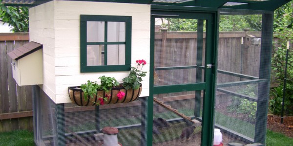 Flower Box Chicken Coop Design