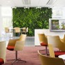 modern-greenery-interior-house-garden-design-ideas