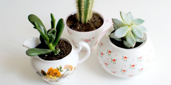 Vintage Tea Cup Planters Ideas