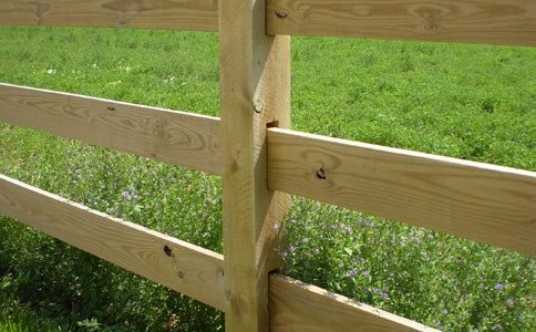 Wire Wood Fence